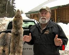 Image result for Fur Trapping