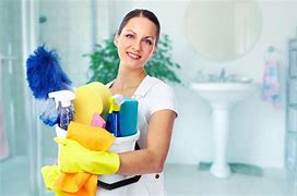 Image result for Professional Cleaning