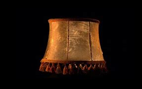 Image result for Skin Lamp Shade Nazi