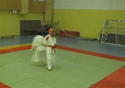Image result for Karate Sparring Gear
