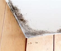 Image result for Mold or Mildew On Bathroom Ceiling