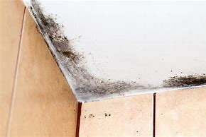 Image result for Mold Stains On Bathroom Ceiling
