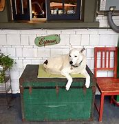 Image result for Dog Friendly Coffee Shop