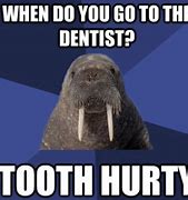 Image result for Tooth Hurty Joke