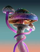 Image result for Rare Mushrooms