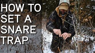 Image result for How to Set Snare Traps
