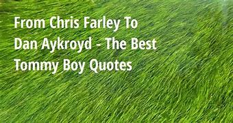 Image result for Tommy Boy Butcher Quote