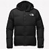 Image result for North Face Winter Coats