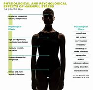 Image result for Physiological Effects of Stress