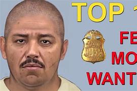 Image result for Wanted Fugitives in USA