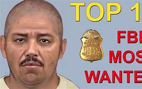 Image result for FBI 10 Most Wanted Template
