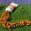 Image result for DIY Art Features for Yard