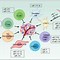 Image result for Small-Cell Lung Cancer Disease