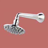 Image result for Club Shower Head