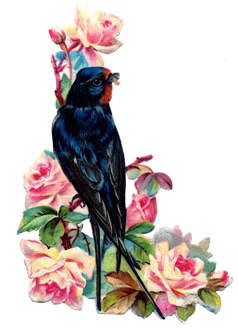 Victorian Bird Image   Swallow with Pink Roses   The Graphics Fairy