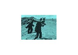 Image result for Iwo Jima Battle Casualties