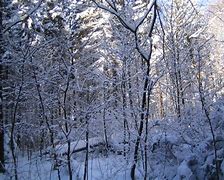 Image result for Winterlandschaften Bilder