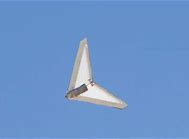Image result for Early Gliders