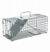 Image result for Small Animal Snare Traps