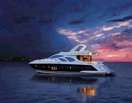 Image result for WeatherTech Yacht