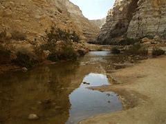 Image result for Israel Water in 50 Years