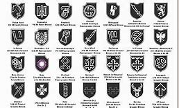 Image result for SS Division Insignia