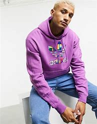 Image result for Adidas Originals Adicolor Cropped Hoodie