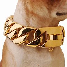 Image result for Cuban Link Gold Chain Dog Collar