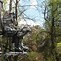 Image result for Portable Climbing Tree Stand