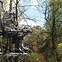 Image result for climbing tree stands