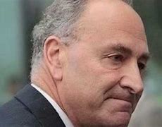Image result for Schumer Hair Plugs