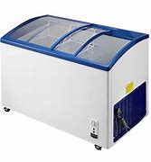 Image result for Used Commercial Chest Freezer