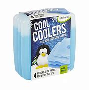 Image result for Cooler Ice Packs