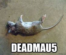 Image result for Dead Mouse Jokes