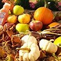 Image result for Fall Activities Near Me