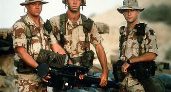 Image result for U.S. Army Gulf War