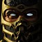 Image result for Mortal Kombat 9 Scorpion Face