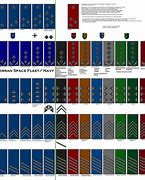 Image result for SS Officer Rank Insignia