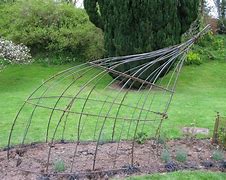 Image result for Large Plant Supports