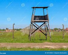 Image result for Concentration Camp Train