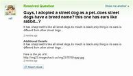 Image result for Wacky Question