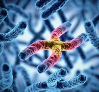 Image result for What Affect Does Gaucher Disease Chromosome