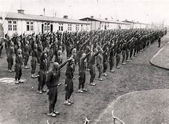 Image result for Mauthausen Death Camp