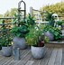 Image result for Patio Vegetable Garden Planters