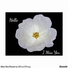 Miss You Flower Postcard Zazzle com in 2020 Postcard Flowers Miss you
