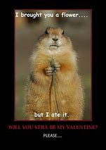 Image result for Free Valentine Senior Jokes