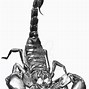 Image result for Alien Scorpion Art