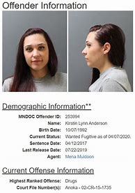 Image result for Most 10 Wanted Cass County MN
