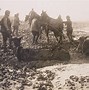 Image result for Dead On the Western Front World War 1