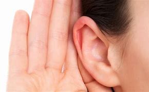 Image result for How to Take Care of Ears